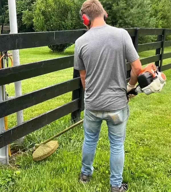 Benefits of an Invisible Electronic Fence versus a Physical Fence