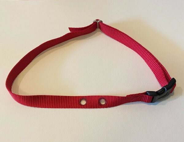 Perimeter Technologies replacement strap Red