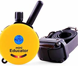 E-Collar ET-300 Mini Dog Trainer Educator Remote
