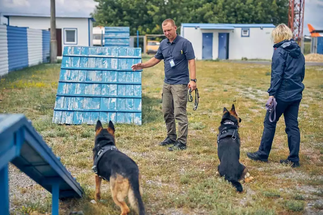 Derby´s Dog Leadership Training